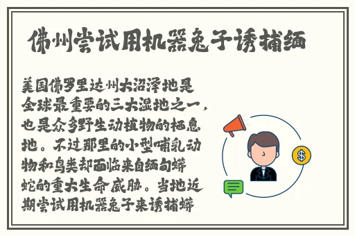 适合晚上一个人偷偷看B站
